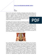 Terapia Manual y Biomecanica