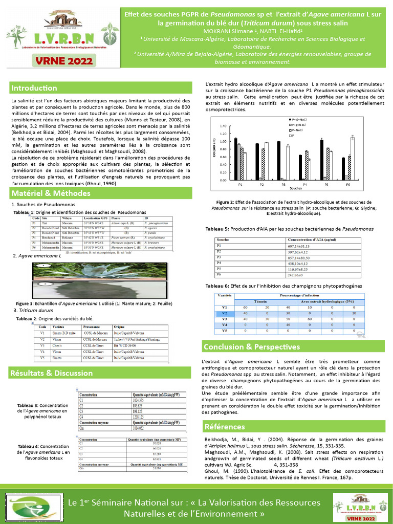 Poster Affiche Mokrani Slimane (VRNE2022) | PDF | Pseudomonas | Plantes