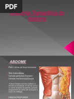 Primeira Aula de Anato