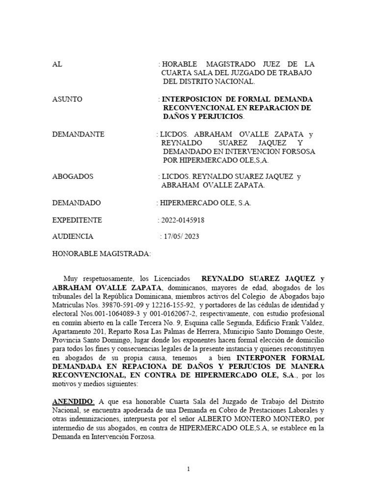 Demanda Reconventional contra Hipermecado Ole | PDF | Daños y ...