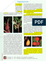 Ribeiro Et Al. 1999 Flora Reserva Ducke Sapotaceae