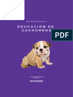 Doggers educacionDeCachorros