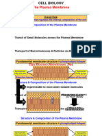 03 - BI203 - Plasma Membrane Part1 2022F