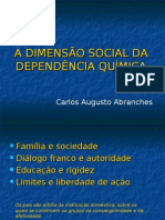 A Dimensão Social Da Dependência Química