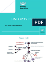 Clase 4.1 - Lifopoyesis B - NK