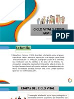 8va. Ciclo Vital de La Familia