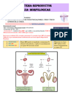 GUIA MORFOlogicas REPROductor