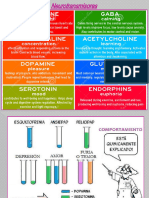 Seminarios Neurotransmisores 2023