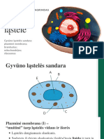 Biologija 9. Gyvūno Ir Augalo Ląstelės