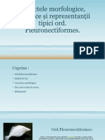 Aspectele Morfologice, Ecologice Și Reprezentanții Tipici Ord