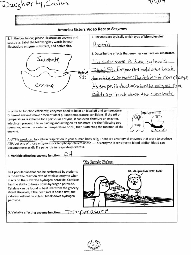 Sep 5 Doc 1 | PDF