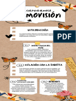 Infografía Guía de Estudio Scrapbook Marrón y Blanco
