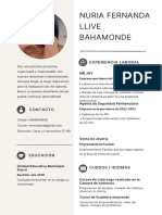 Curriculum Vitae CV Profesional A4 Morado