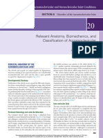 Anatomia y Biomecanica de Articulacion Acromioclavicular