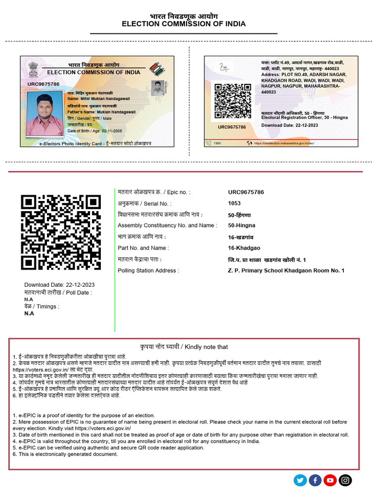 Voter ID | PDF