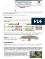 Circulación en Plantas 6