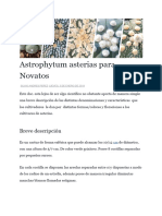 Astrophytum para Novatos