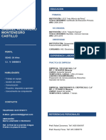 215 Curriculum Vitae Plantilla CV Word Gratis