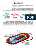 Проект БАКТЕРІЇ (06.05.2020)