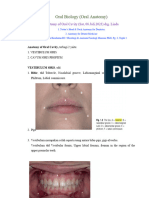 Anatomy of Oral Cavity