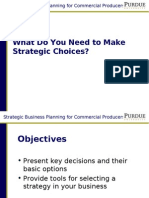 Strategic Choice