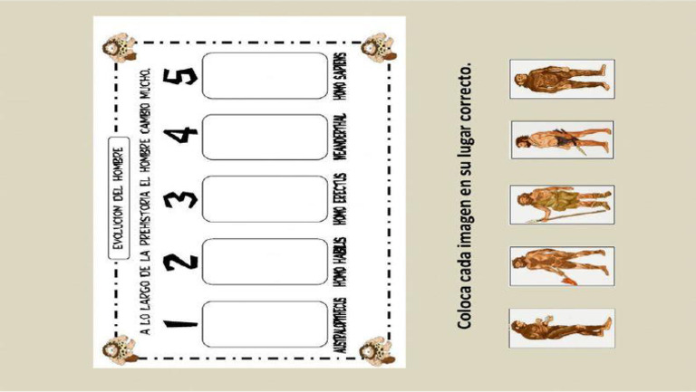 Ochagavía visual data 4