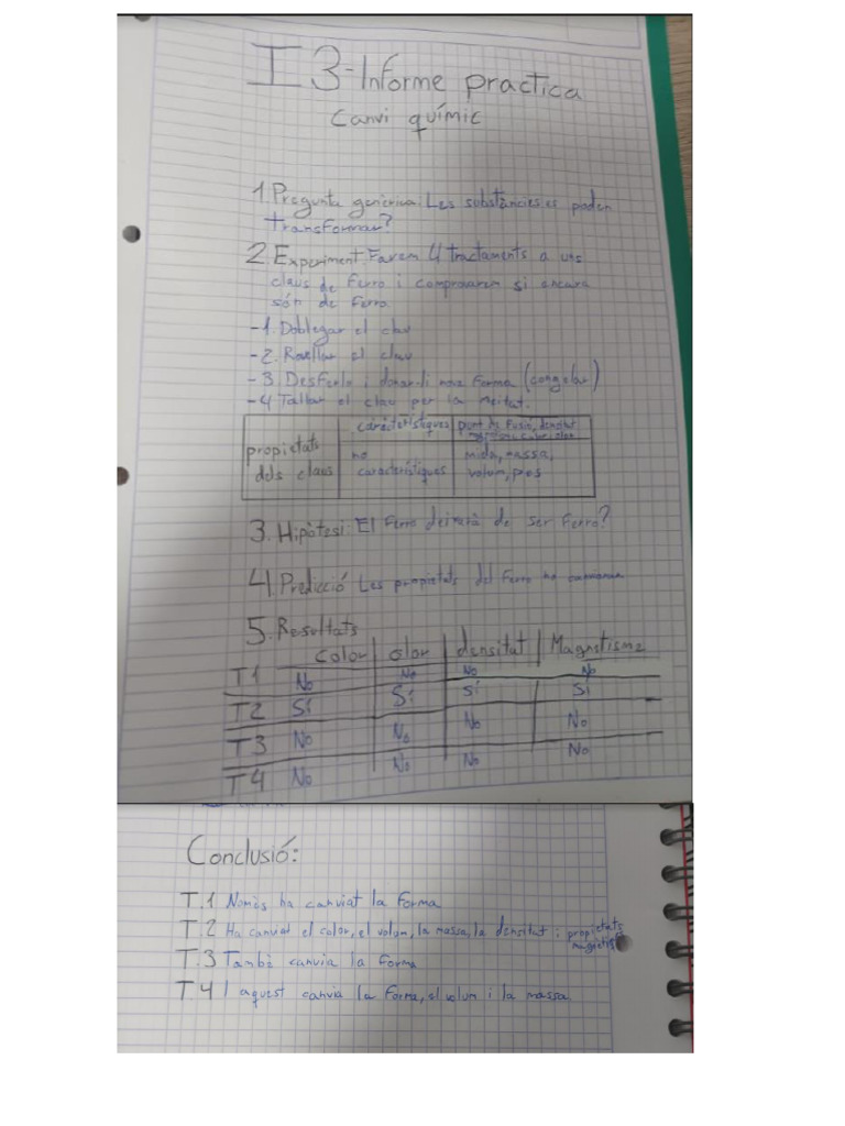 Informe Practica | PDF