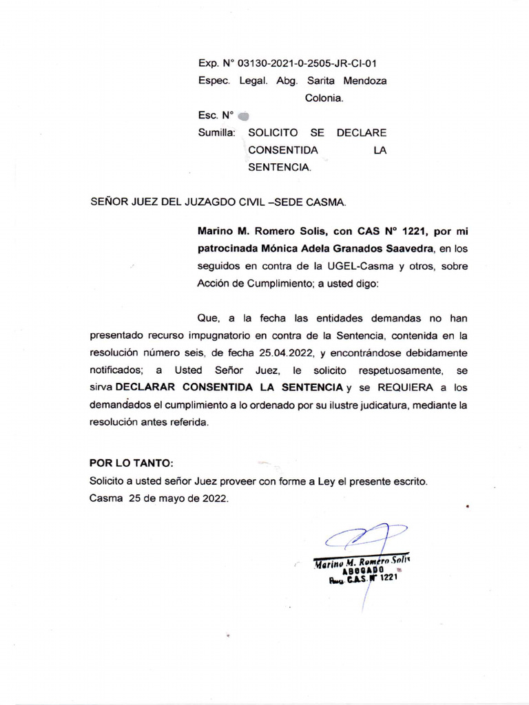 Adela Solicita Declar Consentida. | PDF