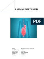 C. LKPD Pertemuan 1