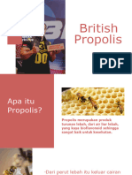 Brosur British Propolis