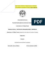 Trabajo Final de La Materia Trabajo Social y Gestión en Organizaciones y Empresas