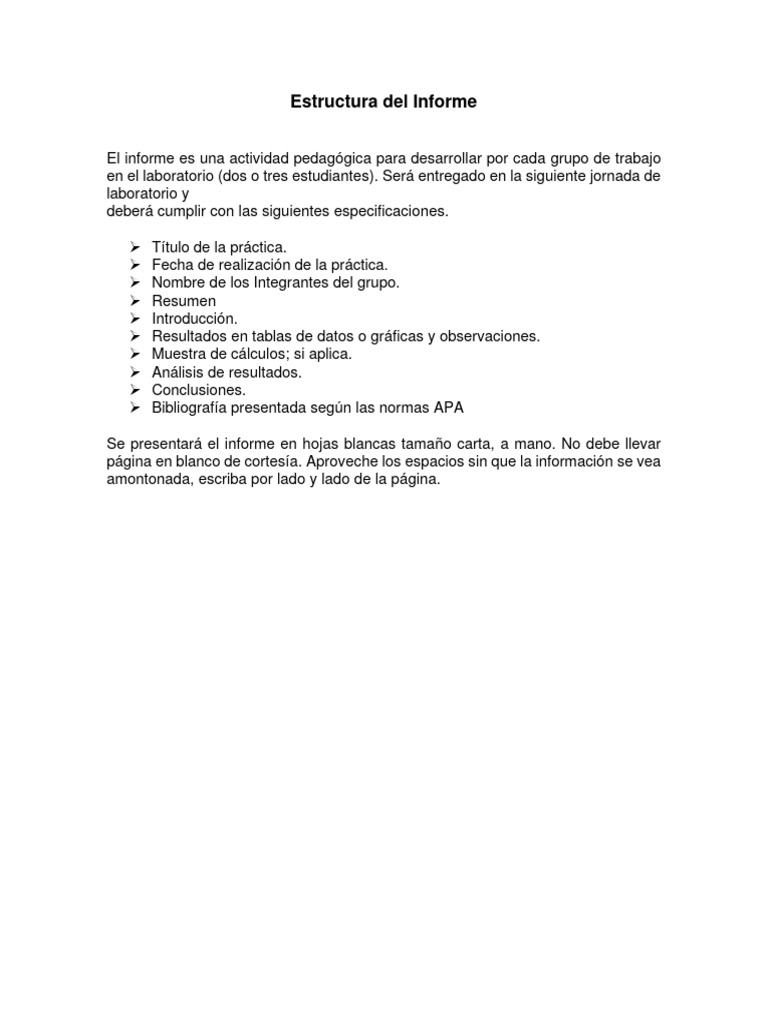 Estructura Del Informe | PDF