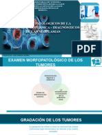 Diagnostico de Las Neoplasias