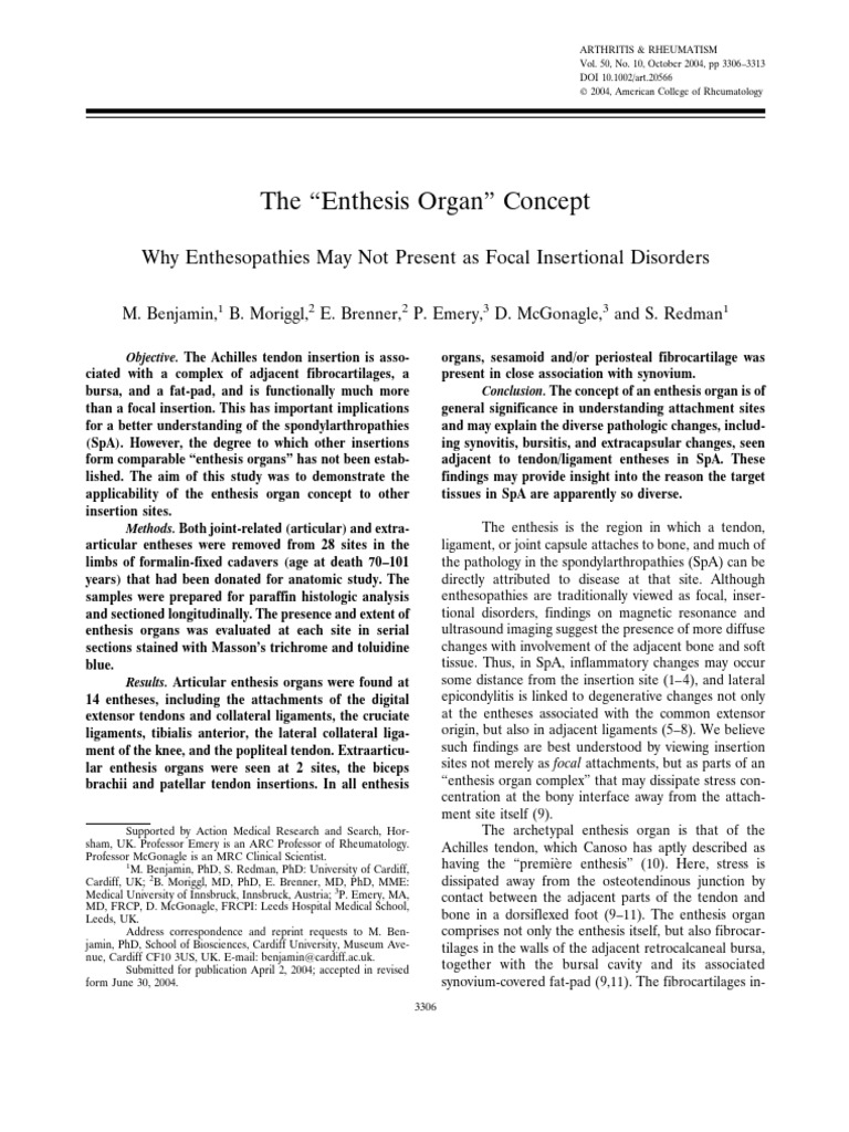 Enthesis Organ Insight for SpA | PDF | Knee | Musculoskeletal System