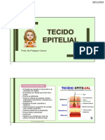 Tecido Epitelial