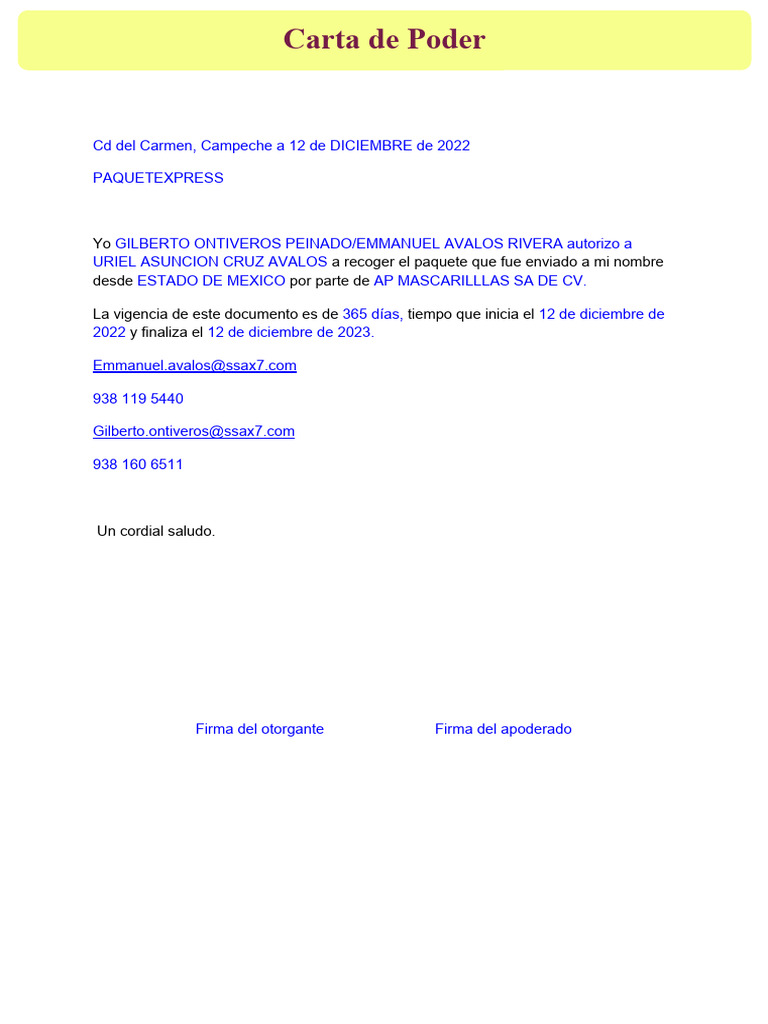 modelo-carta-de-poder-para-recoger-paqueter-a-pdf