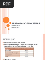 Anatomia Do Fio Capilar