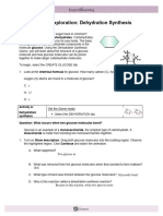 Dehydration Synthesis 