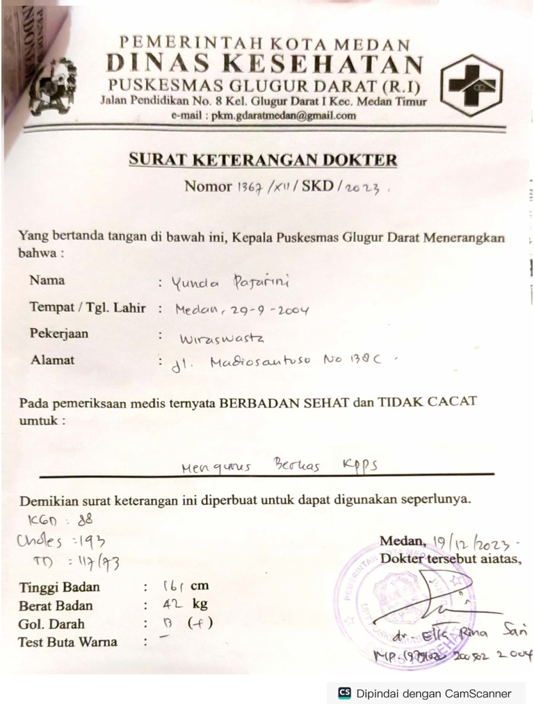 Semiz mushuk ayollar