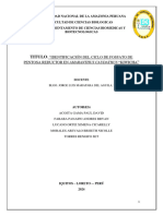 If Bioquimica 1.0 PDF