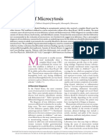 Evaluation of Microcytosis