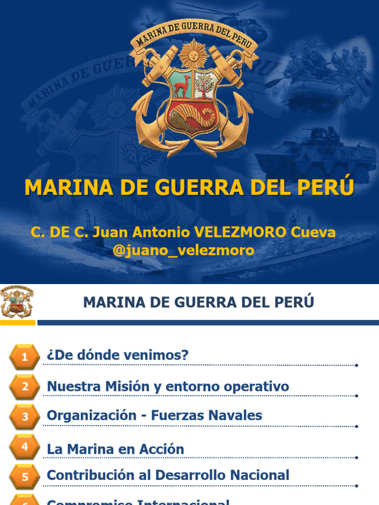 MGP - Organización Órganos, Fuerzas Navales, La Marina en Acción