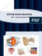 Sistem Indra 2013
