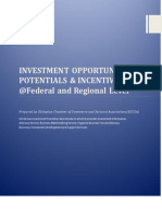 Investment Opportunities and Incentives at Federal and Regional Level