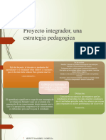 Proyecto Integrador, Una Estrategia Pedagogica