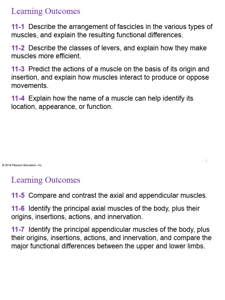 CH 11 Lecture Presentation | PDF | Shoulder | Anatomical Terms Of Motion