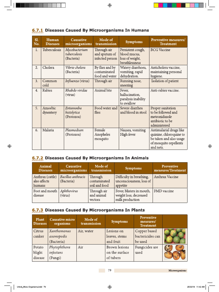Disease | PDF