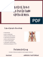 Urologiako Departamentuko Gaixotasunak