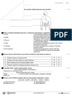 Człowiek - Sprawdzian Test (Z Widoczną Punktacją)