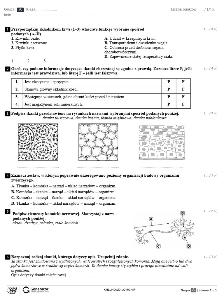 Tkanki Roślinne Test Klasa 5 Nowa Era Tkanki - Kartkówka Test (Z Widoczną Punktacją) | PDF